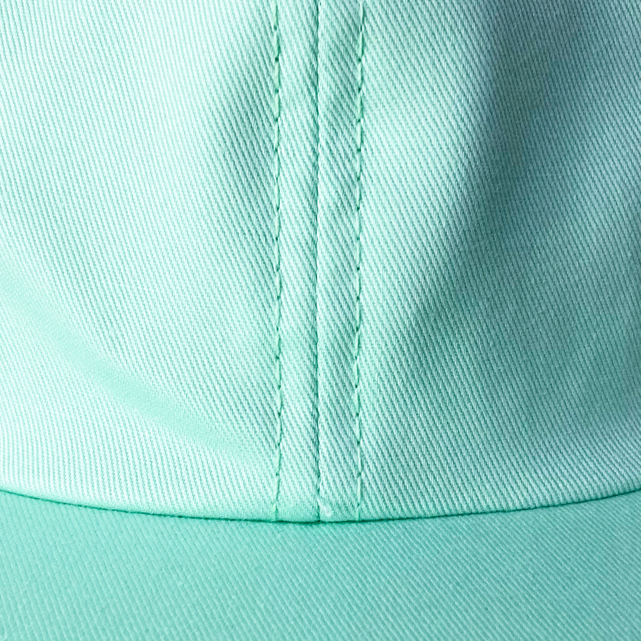 THE H.W.DOG&CO./PLAIN 6P CAP/D-00754