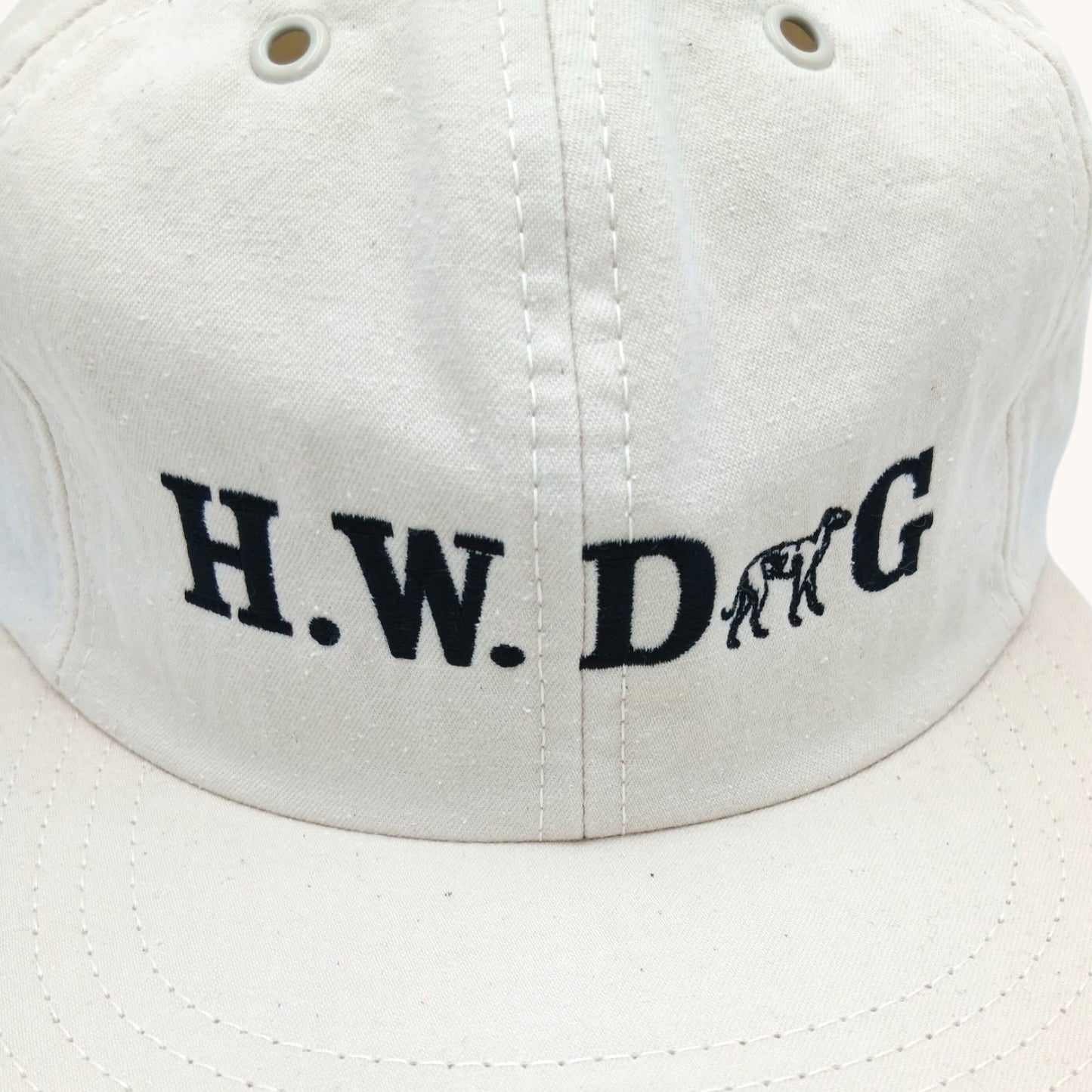 THE H.W.DOG&CO./ DENIM SKATE CAP /D-01140