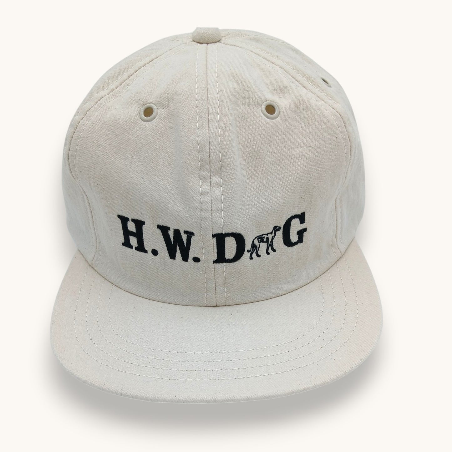 THE H.W.DOG&CO./ DENIM SKATE CAP /D-01140