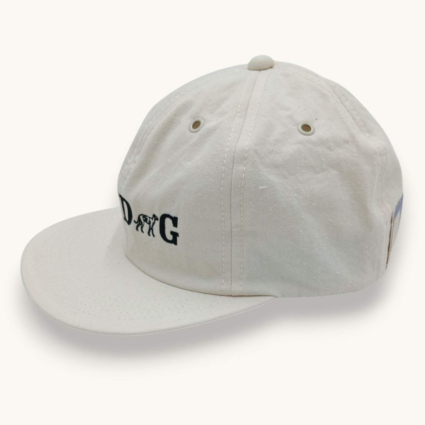 THE H.W.DOG&CO./ DENIM SKATE CAP /D-01140